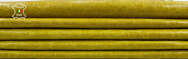 MUSTARD LIME YELLOW CRINKLE SHINY VINTAGE Goat leather 2 skins 12sqf 0.7mm C1615