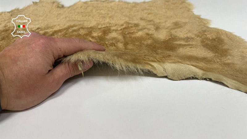 SAND SHORT Soft Hair On sheepskin Lamb shearling Fur leather hides 14"X23" B8700